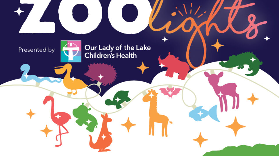 Zoo Lights Illuminates the Season Baton Rouge Parents Magazine